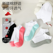 �½����ļ����ɫ�m��Ů��͸���Ͳ�m�����ļ��W���\�Ӱٴ�