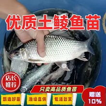 ���N�~�烞�|�N�~�絭ˮ���w�Bֳ���N�~̩�N�~���ʳ���N��С�~��