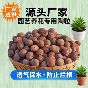 ֲ��|����������������������������ʯ�����V����o��������|
