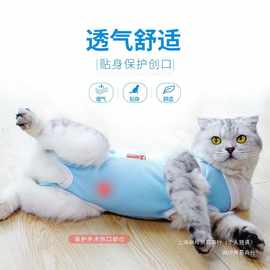 猫咪手术服母猫绝育衣服包猫猫绝育服防护服肚衣断奶公猫防舔术后
