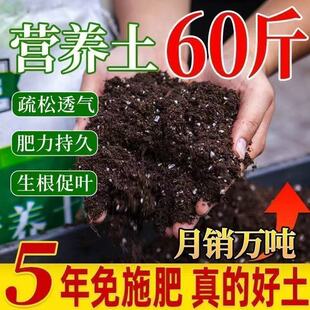 �I�B���B��50��ͨ�ö���I�B���@�������ЙC͸�����ɼ��÷Nֲ����