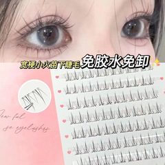 カブトムシの甘いゴムなしの下のまつげの小さい炎の小さい野良猫の偽のまつげは自らくっついて透明な茎を外して純粋に鏡の自然に乗りたいです。