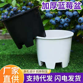 超大号花盆加厚种菜专用箱加高圆形塑料盆栽花盆透气呼吸种植盆