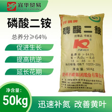�V���ό�������@���l �Sɫ�w��  ������@64%   �Sɫ�w�� ��ɫ�w