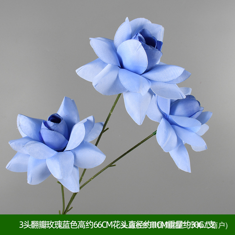 情人玫蓝色