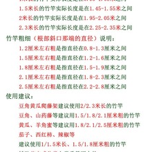 (50支)竹竿菜园搭架小竹子细竹杆豆角黄瓜月季支架爬藤架旗杆2米