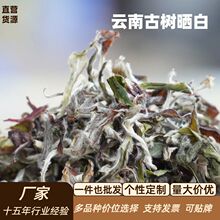 ��ϹŘ�ײ軨���������ɢ�ײ���~�N�ײ�F؛