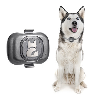 Новый GF-07gps Pet Puiceer Smart носит GPS PET водонепроницаемые противоугоны, противоуго