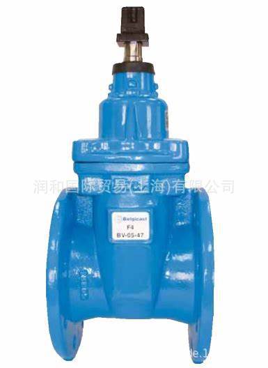 德国Belgicast闸阀，Belgicast针型阀，Belgicast导轨式阀门