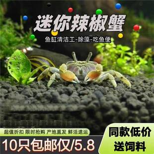 ��������з���w����΢���^��ˮ�Y���^�pз����ˮ�����坍���׻�