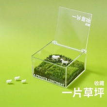一片草坪迷你草坪苔藓盒办公室桌面绿植盆栽创意桌搭治愈系微景观