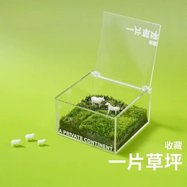微景观;微景观瓶;其他园林植物