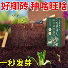 �����ݰl���B��Ҭ�ӠI�B���s�I�B��ͨ����Ҭ�����N���ЙC���}Ҭ�u