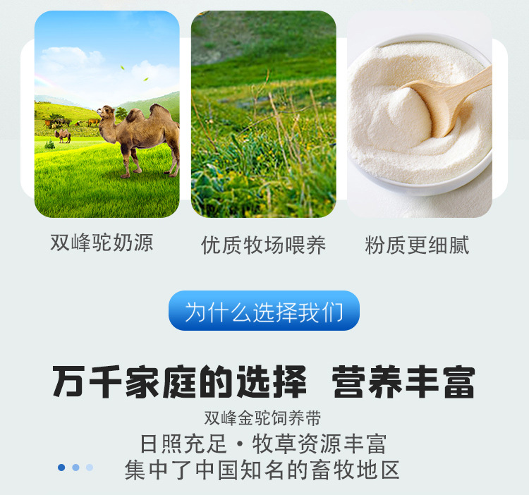 状元骑士详情_02