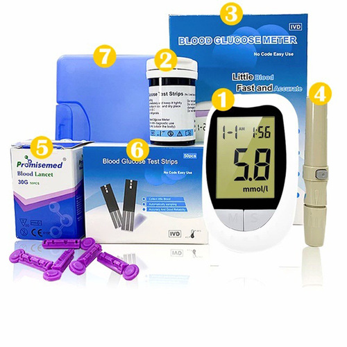 Blood glucose tester export home English foreign trade large screen intelligent code-free blood glucose meter with test strips and test paper blood glucose meter