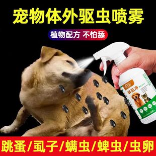 �w����x����؈�乷��������������xʭ���҃ȭh��