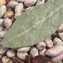 ���㻨�����F偳������ƹŷ���������Թ����ֺڻ���ȥ��