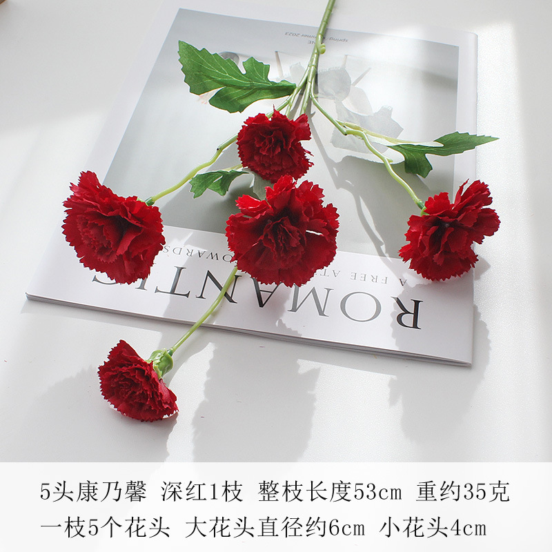 (5마리) 진홍색