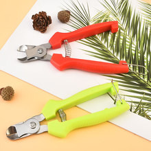 �F؛���P䓸C��ժ�������Ӹ����O����ժ��������֦����ժ������