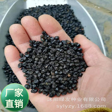 ���l�������޸������R�ѵ���ɫ÷�͟��͕�ͥԺ�̨���@�_�����