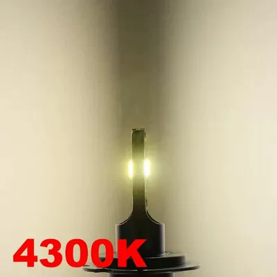 Ön faralar — Led Car Light Bulbs - black-cob-warm-light-h1-single-price