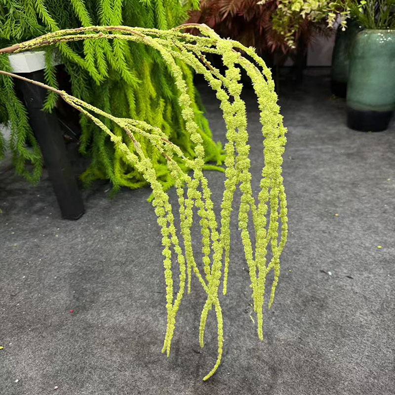 밝은 녹색