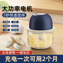 Panidi Electric Garlic Container 350ML Glass Cup Garlic Masher Garlic Paste Machine Shipment Included