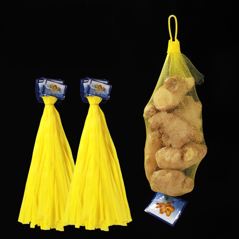 Garlic Bag Netbag ginger Promotion Silk screen Bag Nylon Bags fruit Vegetables Netbag
