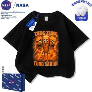 NASAľ�����¿�2025�᎛�д�ͯ���ވA�I���䃺ͯ���e����T������