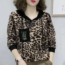 连帽卫衣女2025春秋新款网红t恤打底衫洋气印花宽松显瘦上衣