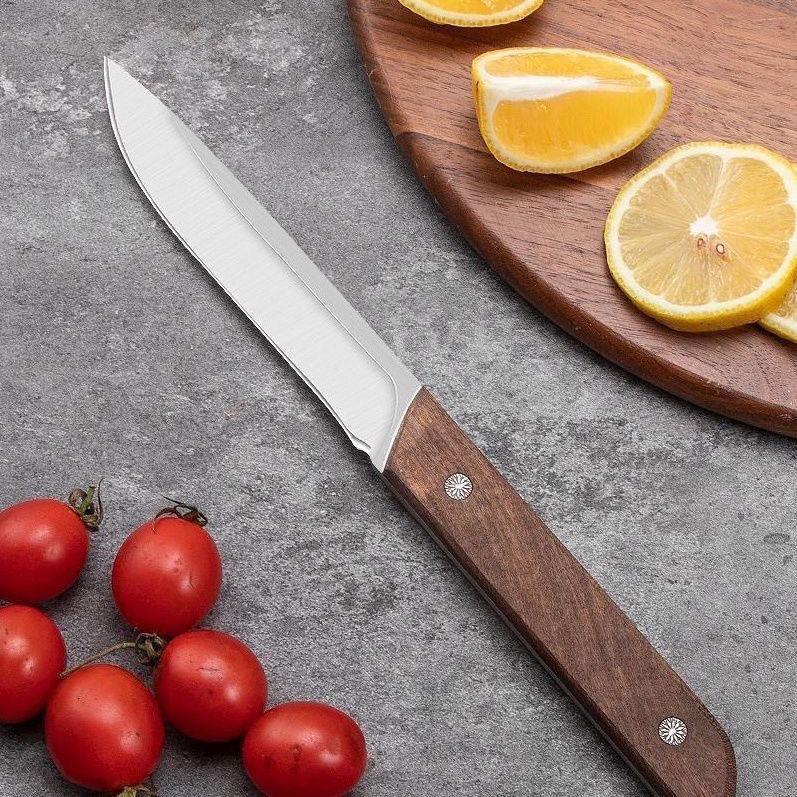 果物刀高炭素鋼の手は肉を鍛えて屋外でキャンプします。|undefined