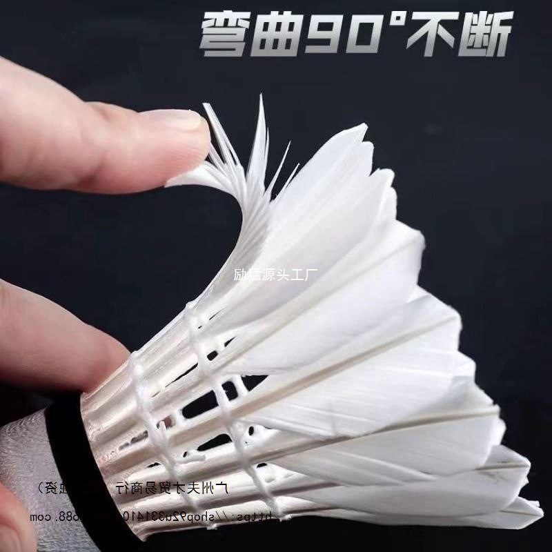 Badminton playing goose feathers.