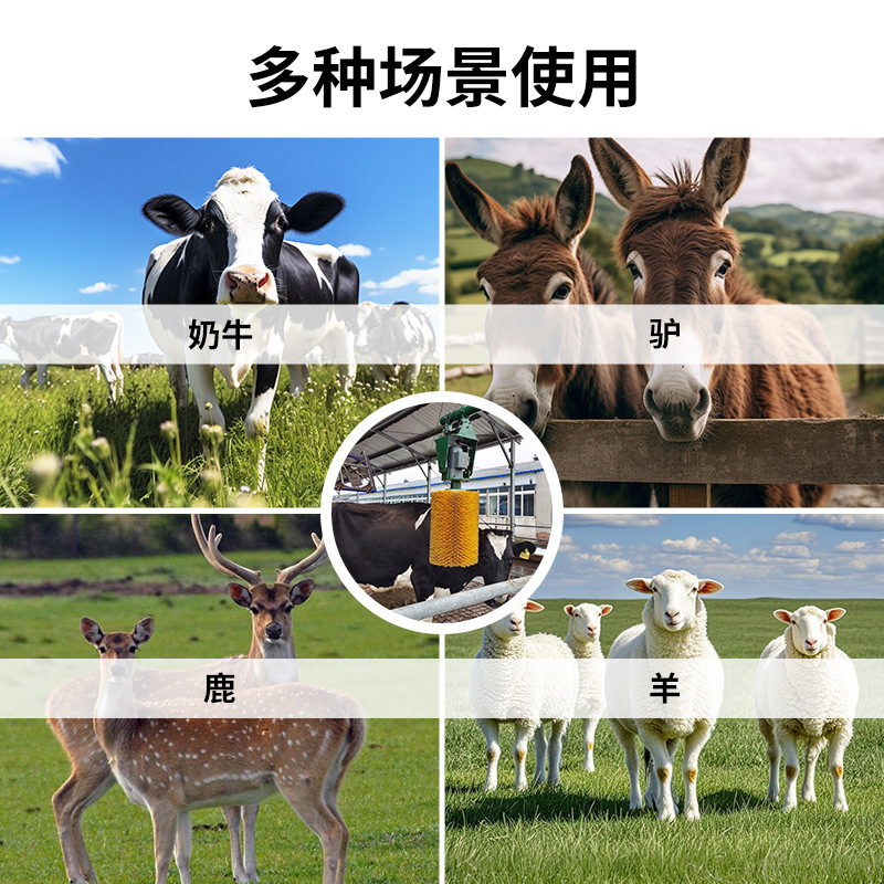牛ボディブラシ、牛洗浄ブラシ、かゆみマッサージ洗浄ブラシ、牧場専用ブラシ、馬ボディ洗浄ブラシ卸売|undefined