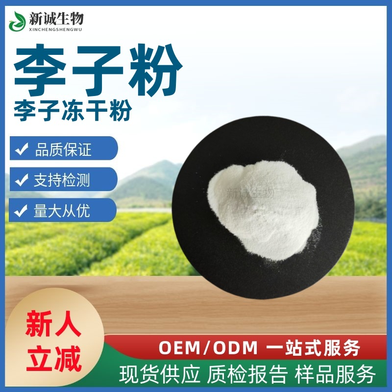 厂家直发 李子粉 李子冻干粉速溶李子果汁粉 品质保证量大从优