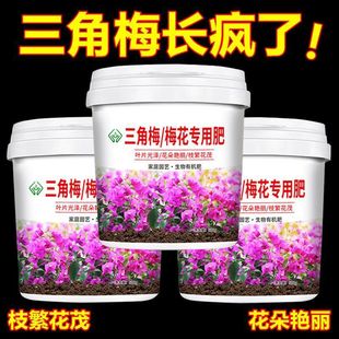 Special Fertilizer for Bougainvillea to Promote Flowering and Strengthen Roots, Granular Slow-Release Nutritional Fertilizer, Fresh Green Waxflower Organic Fertilizer for Leaves