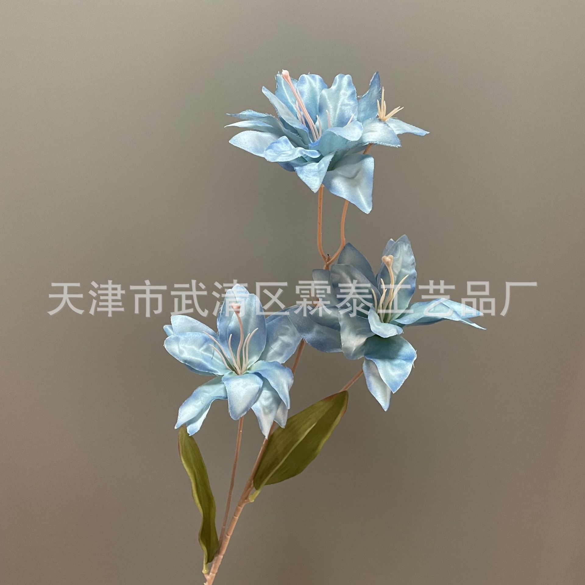 라이트 블루