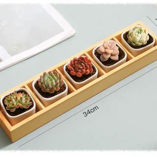 ����ֲ��С���Ԏ��莧����������ֲ���҃ȾGֲ�������ֺ��B���]