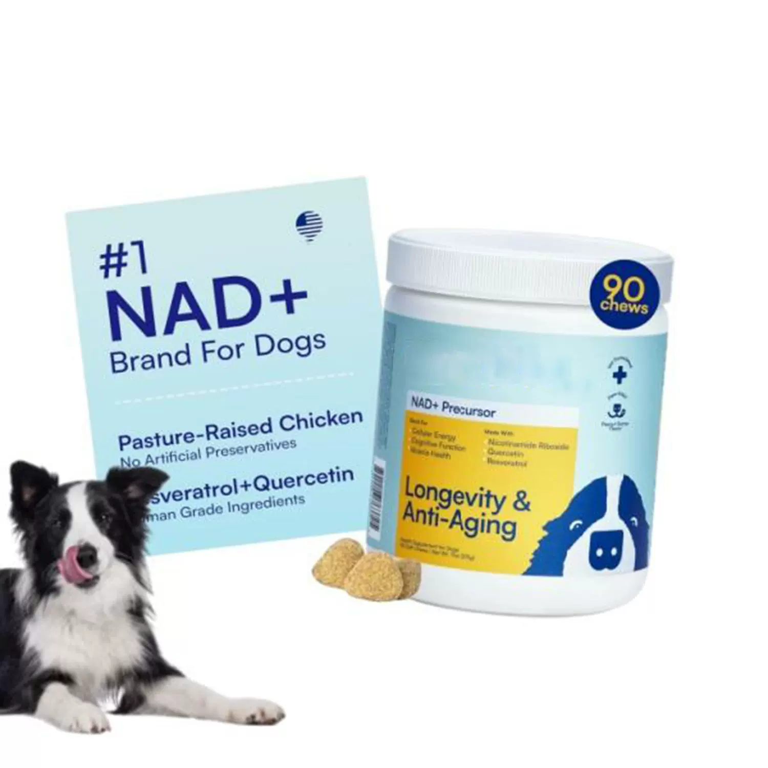 热销外贸跨境保健品咀嚼补充剂Chewable supplement源头工厂新品