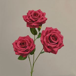 ����õ���c�M���ǰٺϷ��滨�û��tɫ�tɫ�����m���l���滨�ٻ�