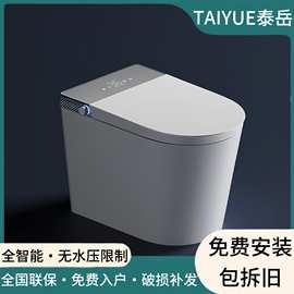小户型家用智能自动马桶语音控制无水压限制防溅冲洗坐便器批发