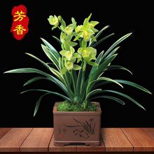 ��߅���N�m������ֲ�����F�ļ����㻨�����P�ڿ͏d���ܽ��m��