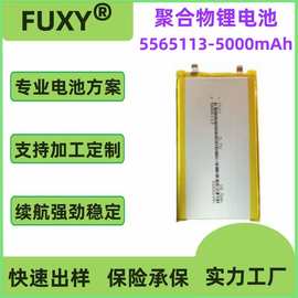 5565110 5565113 6060110 6065113 5000mAh 6000mAh 灯具锂电池