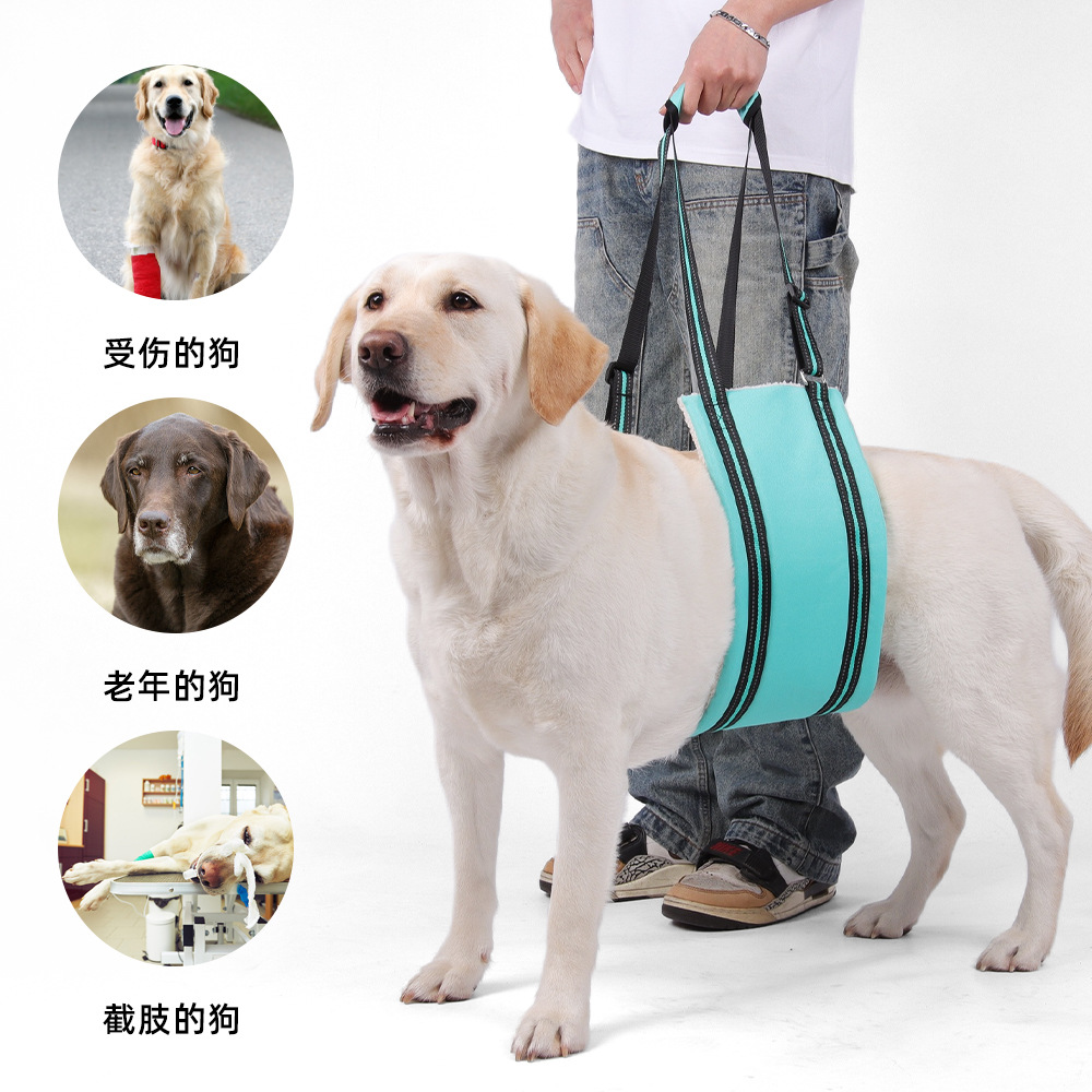Ayuda para mascotas explosiva de Amazon con correa para perros mayores, entrenamiento de rehabilitación para perros ajustable, correa para el pecho al por mayor