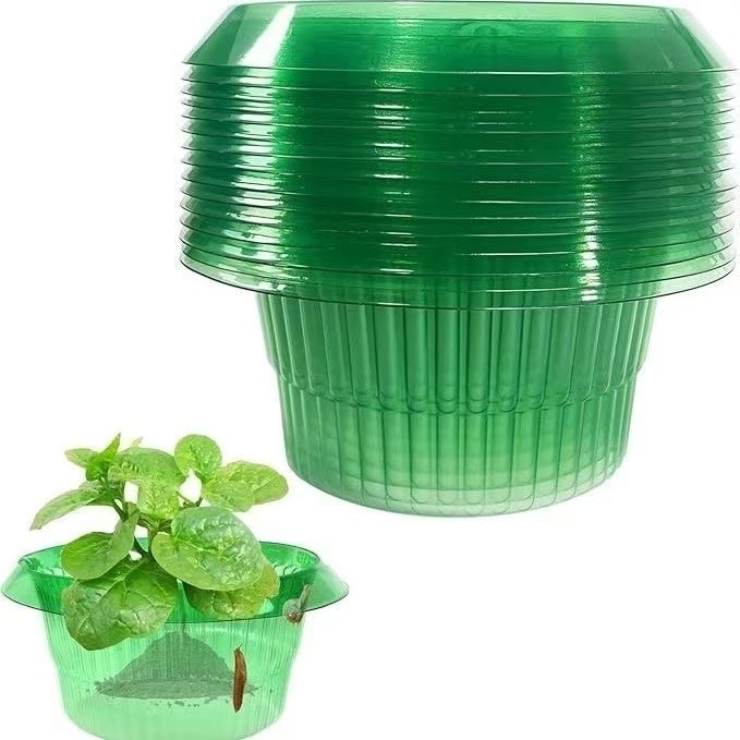 微信图片_202504011040483