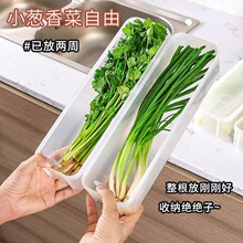 香菜大葱小葱保鲜盒冰箱收纳芫荽整根保鲜食品级面条鸡蛋备菜专用
