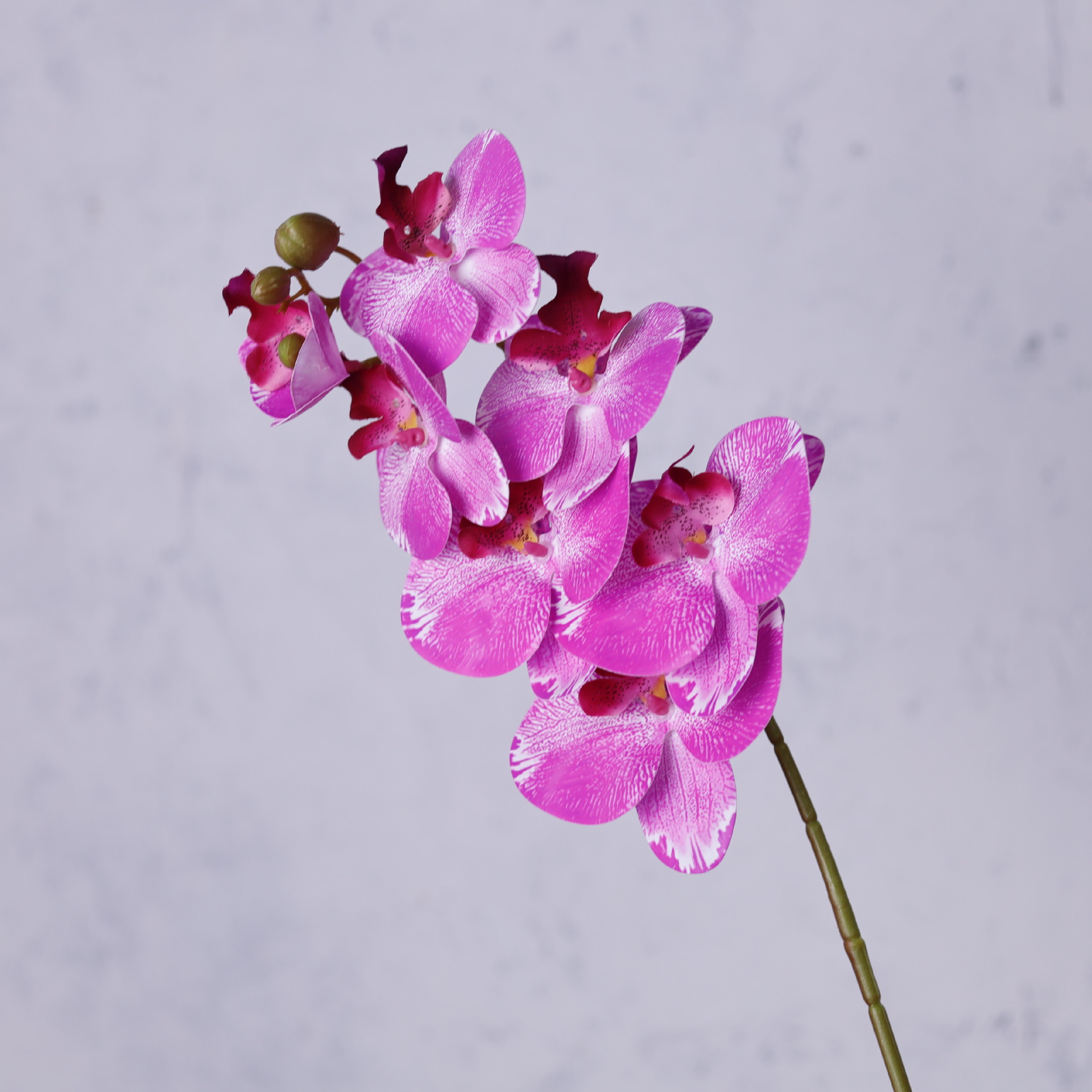 Impresión 3D de 7 cabezas de orquídeas mariposa flor de decoración de flores de alto nivel flor de nicho decoración floral decoración de sala de estar