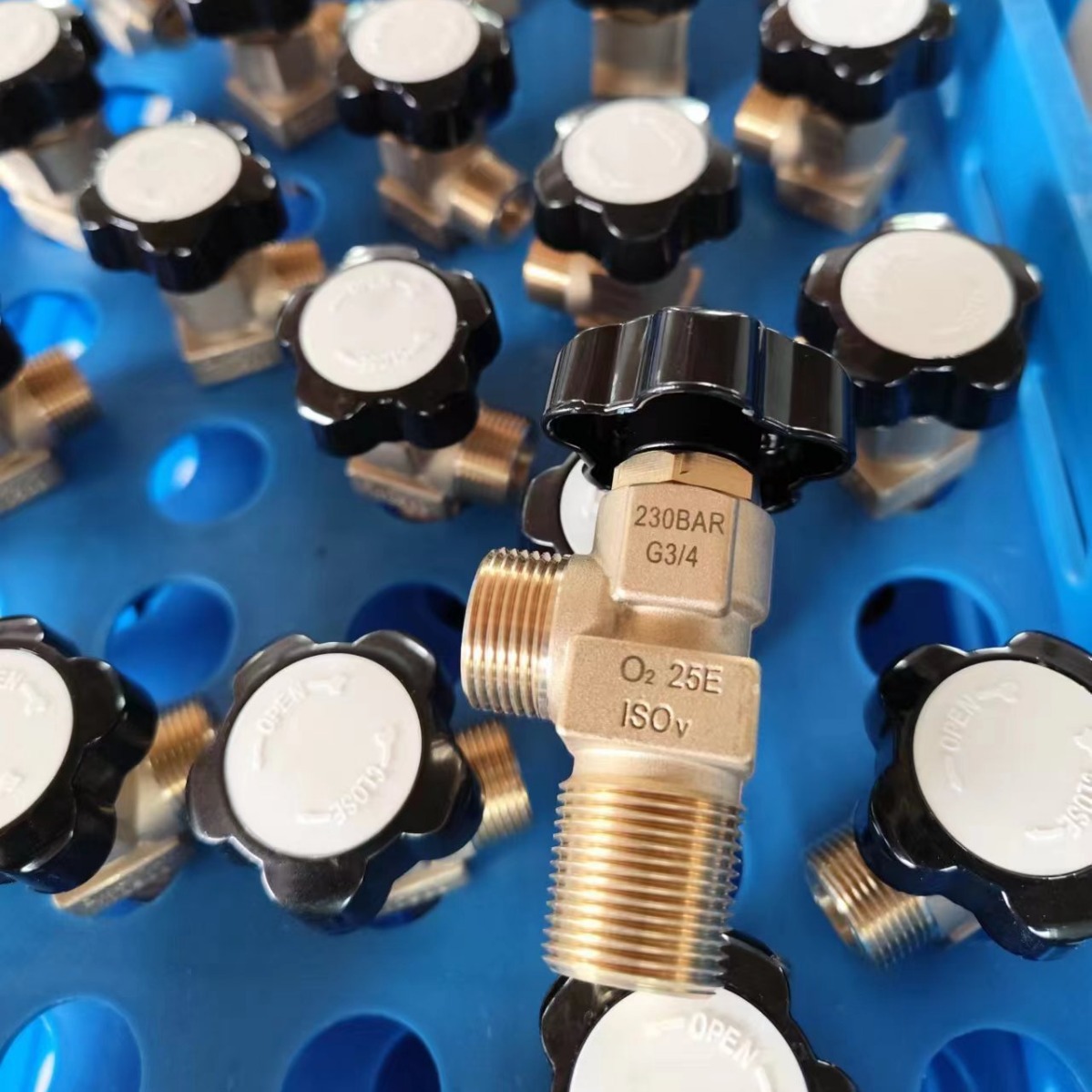 创欣阀门25EG3/4欧标230bar工作压力氧气出口高压氧阀