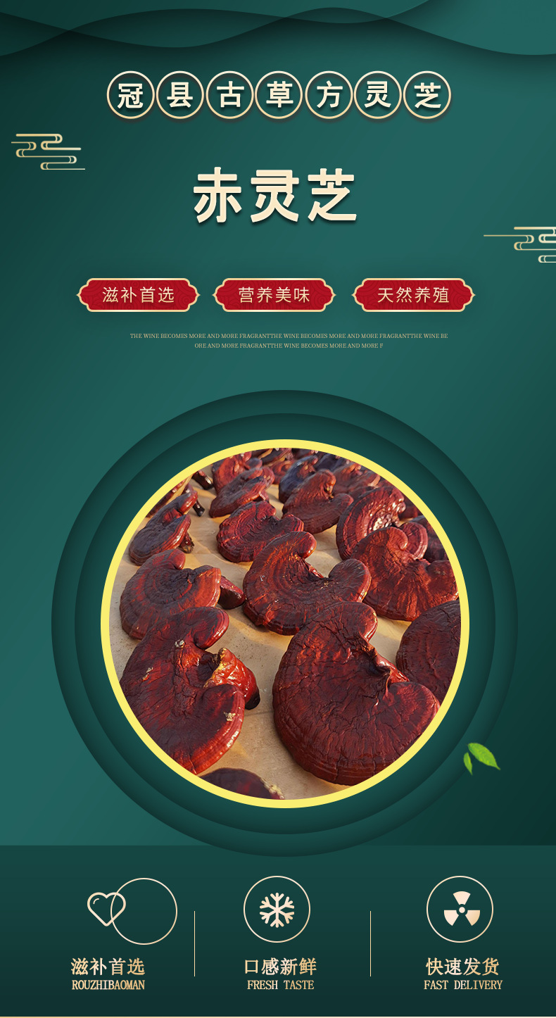 Dried Reishi Mushroom Slices Ling Zhi for Soup and Wine Soaking Traditional Chinese Herb overview