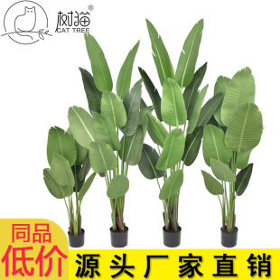 ͷ˽ԼӺ~Ƭ˽kbGֲ[l