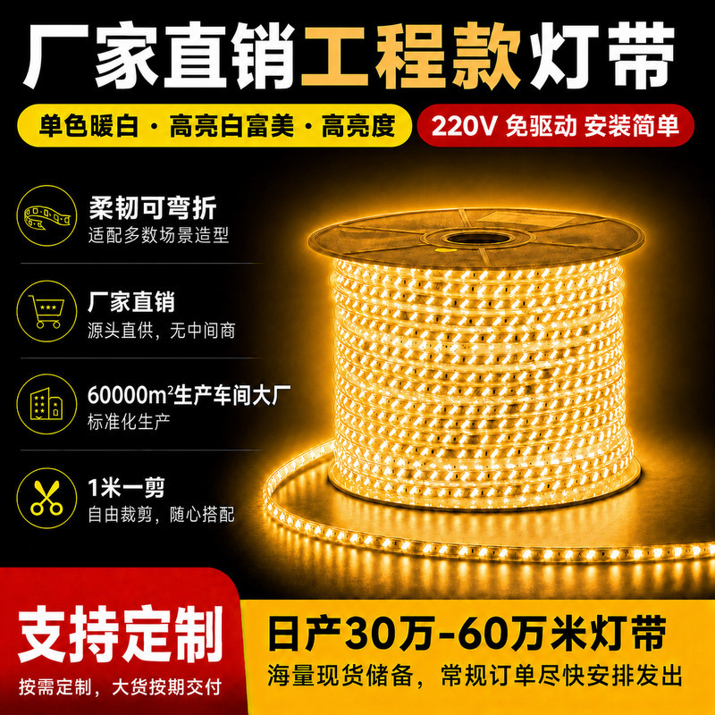 Cross-border Amazon ChuanYue Lighting LED light strip COB silicone outdoor high-voltage waterproof lighting project ultra-bright light strip